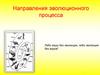 Направления эволюционного процесса
