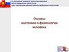 Основы анатомии и физиологии человека