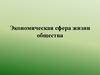 Экономическая сфера жизни общества