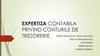 Expertiza contabila privind conturile de trezorerie