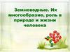Земноводные,  многообразие, роль в природе и жизни человека