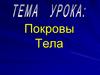 Покровы тела. Функции покровов тела