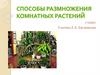 Размножение комнатных растений  (7 класс)