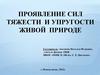 Проявление сил тяжести и упругости живой природе