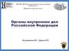 Органы внутренних дел РФ