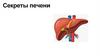 Секреты печени