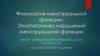 Физиология менструальной функции. Этиопатогенез нарушений менструальной функции