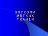 Опухоли мягких тканей. Морфологическая структура опухолей