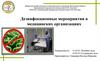 Дезинфекционные мероприятия в медицинских организациях