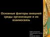 Основные факторы внешней среды организации и их взаимосвязь