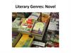 Literary Genres: Novel