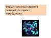 Ферментативный характер реакций клеточного метаболизма