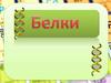 Белки