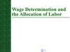 Wage Determination and the Allocation of Labor