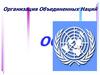 Организация Объединенных Наций