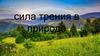Сила трения в природе