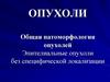 Опухоли. Общая патоморфология опухолей. Эпителиальные опухоли без специфической локализации