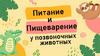 Питание и пищеварение у позвоночных животных
