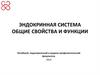 Эндокринная система. Общие свойства и функции