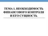 Организация и порядок проведения финансового контроля. Тема 1.4