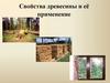 Свойства древесины и её применение. Плотность
