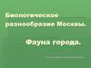 Биологическое разнообразие Москвы. Фауна города