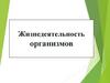 Жизнедеятельность организмов. Процессы жизнедеятельности живых организмов