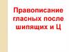 Правописание гласных после шипящих и Ц