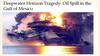 Oil Spill in the Gulf of Mexico. Deepwater Horizon Tragedy