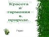 Красота и гармония в природе
