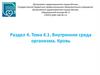Внутренняя среда организма. Кровь