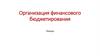 Организация финансового бюджетирования. Лекция