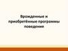 Врожденные и приобретённые программы поведения