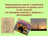 Формирование знаний о средствах выразительности на уроках изо в 6-х, 8-х классах (на примерах живописи, графики, и фотографии)