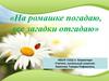 На ромашке погадаю, все загадки отгадаю