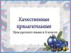 Качественные прилагательные. Разряды прилагательных