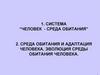 Среда обитания и адаптация человека. Эволюция среды обитания человека