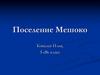 Поселение Мешоко