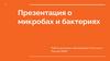 О микробах и бактериях. Характерный размер микроорганизмов