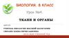 Ткани и органы. Урок №4