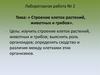 Строение клеток растений, животных и грибов. Лабораторная работа №2