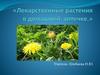 Сбор дикорастущего сырья и выращивание лекарственных растений