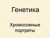 Генетика. Хромосомные портреты