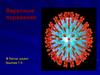 Вирусные поражения. Герпетическая инфекция