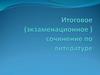Итоговое (экзаменационное) сочинение по литературе