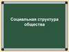 Социальная структура общества