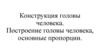 Конструкция головы человека. Построение головы человека, основные пропорции