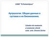 Артрология. Общие данные о суставах и их биомеханике