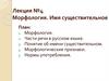 Морфология. Имя существительное. Лекция №4