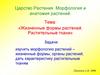 Жизненные формы растений. Растительные ткани